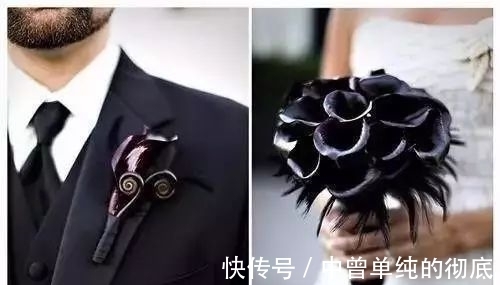 夜皇后|盘点:20种世界上最黑的花,黑的美,黑的妙,黑的呱呱叫