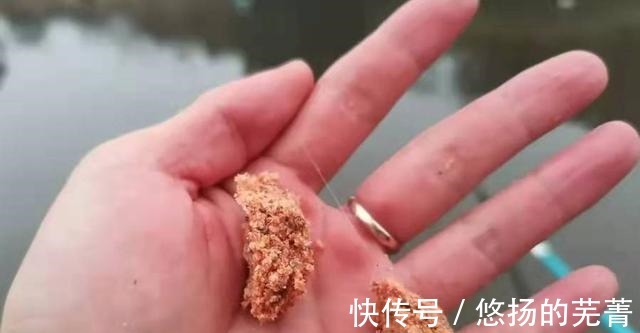 玉米面|这鲫鱼饵果然够狠，头一次试用过了瘾，莫不信，十人有九人还不知！