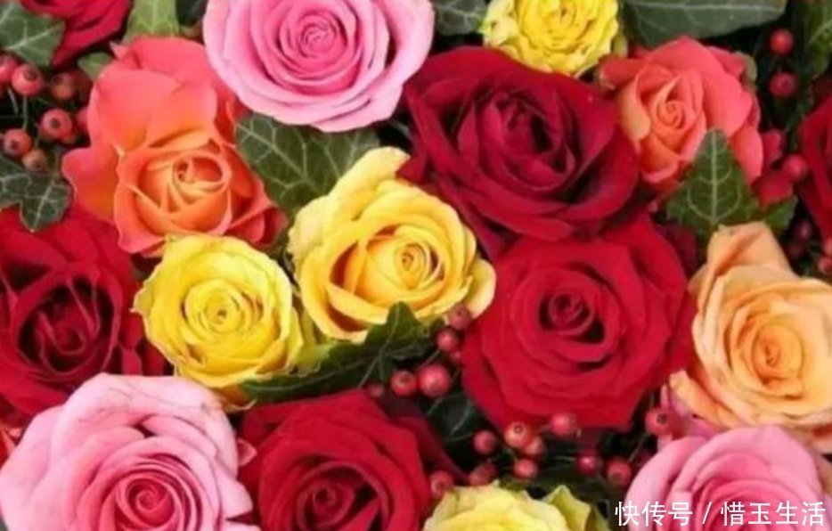 爆盆|比香水还好闻的3种花,随便养都能爆盆,满屋飘香,花香花更美