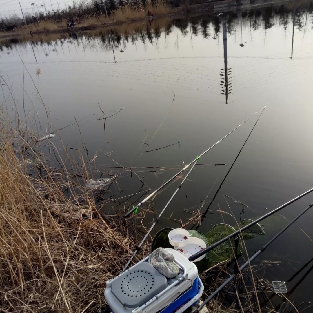 冬天的鲫鱼都藏在哪儿?冬钓这样选位,不愁钓不到鱼!