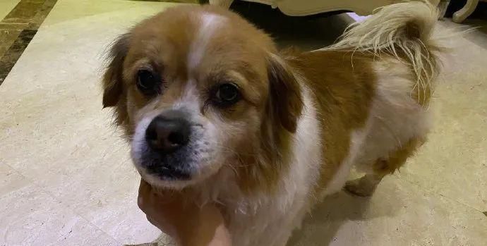 公开互撕!节目上都不装了?