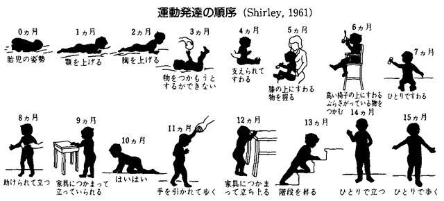 玩具|0-1岁大脑发育最快，这份新生儿早教攻略家长收藏，别错过黄金期