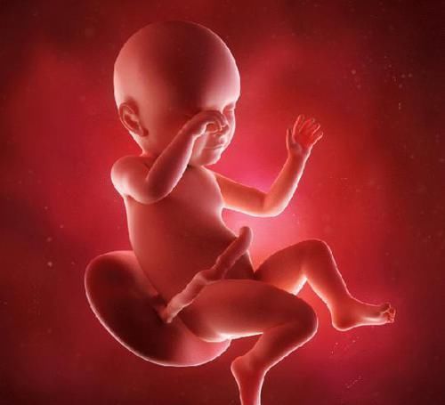 试管婴儿|正常的婴儿和试管婴儿会有什么不同呢?了解一下就清楚了