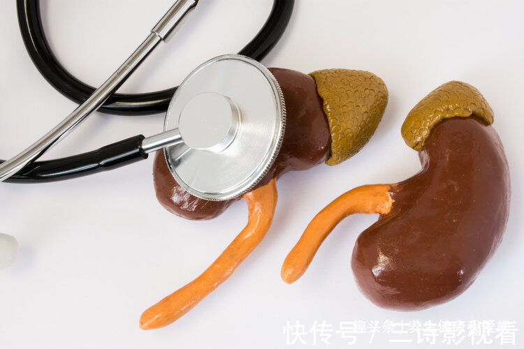 排尿|一喝水就尿,喝水后很久才尿,哪种情况才是肾脏出现了问题?