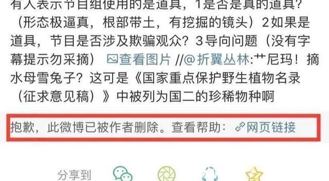 极限挑战|出了事就甩锅嘉宾,难怪从一流节目做成了三流