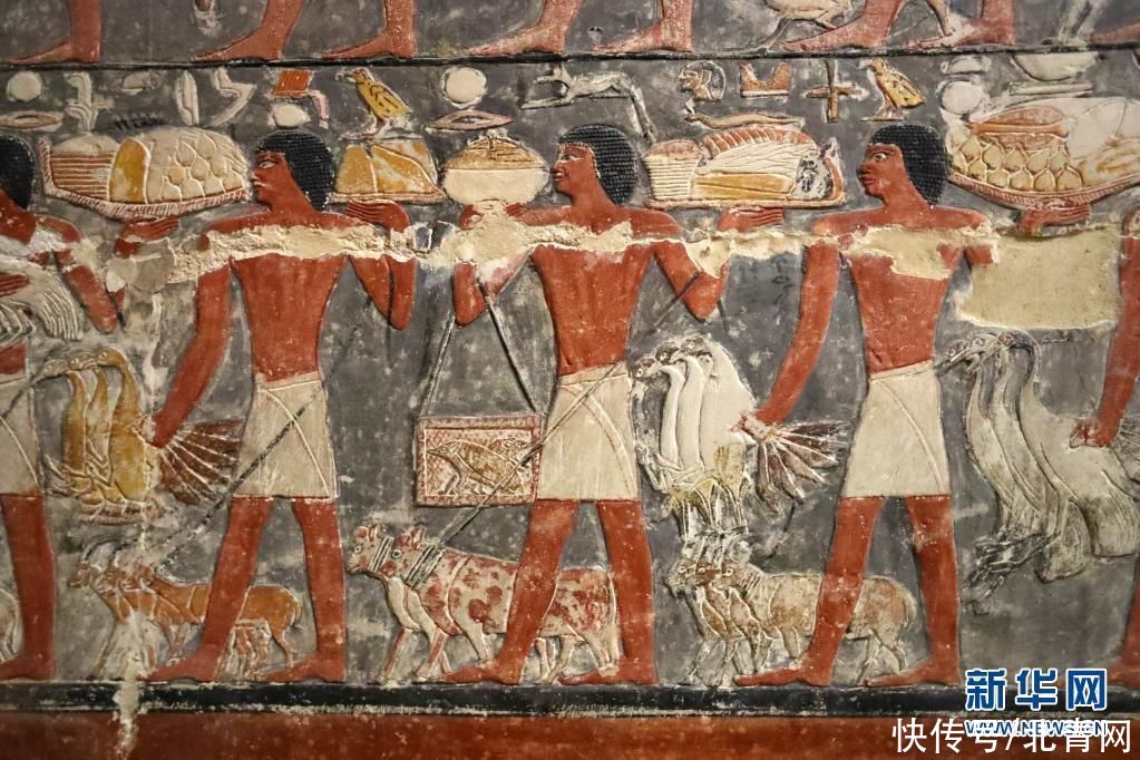 彩绘|埃及塞加拉古墓寻“画”