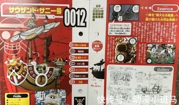 尾田|海贼王:终于确定了,草帽团最后一个伙伴是它,尾田真是鬼才