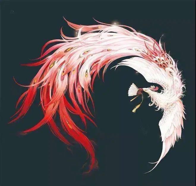 凤凰长什么样图片