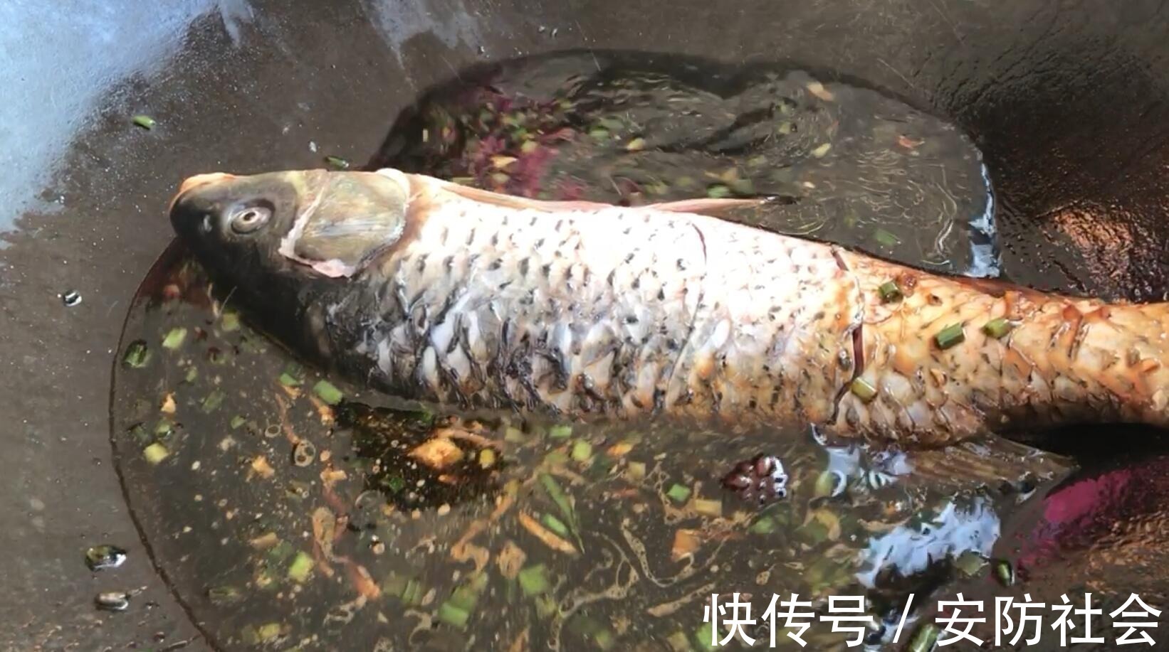东北|老妈菜谱之「大鲤鱼炖茄子」东北正宗做法,一口下去香的蒙圈