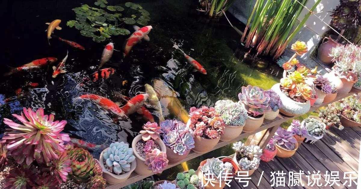 这9种花园，随便1个都美上天了，有一种这辈子就满足了！