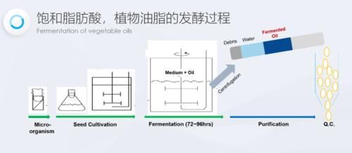 仙竹社AILABELLS品牌的发展进化史