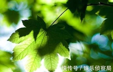 财运|7天后，贵人关照，如鱼得水，大开事业，财运大开，横财滚滚