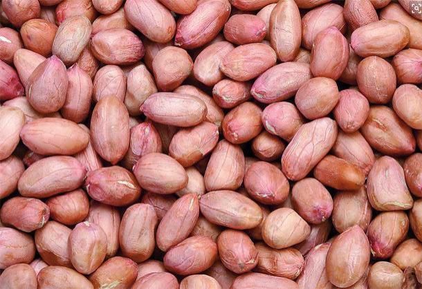 花生|冬季多吃“长寿果”,护心脑抗癌不显老,但这4类人千万别吃!