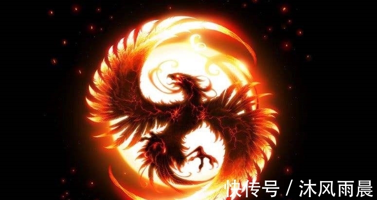 十大神鸟#上古神话中十大神鸟分别是哪些?我们熟悉的精卫便是其中之一