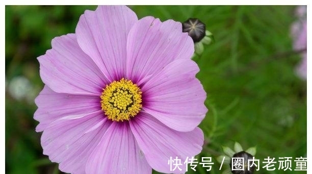 命理|两周后,旧爱离开,乌云散去,春暖花开,流连忘返,迎来美好生活