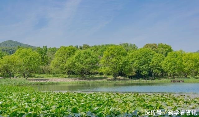 水草|大鲫鱼藏在哪这5个地方都是鱼窝，看你错过了多少鱼