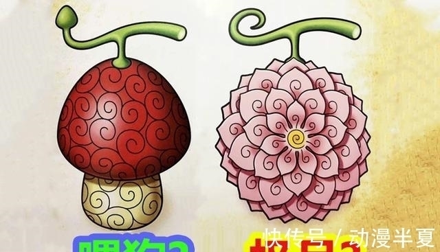 人人果实|草帽海贼团两大果实大曝光，难怪罗宾的是个宝，而乔巴的拿去喂狗