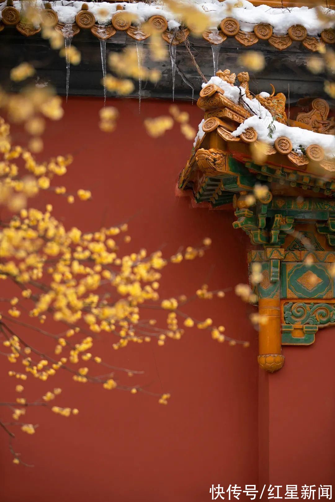 绿杨烟外晓寒轻#今日小寒!