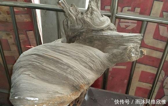 骨料|崖柏一料难求,坨坨料,包包料,骨料,一件中华龙成交价过千万