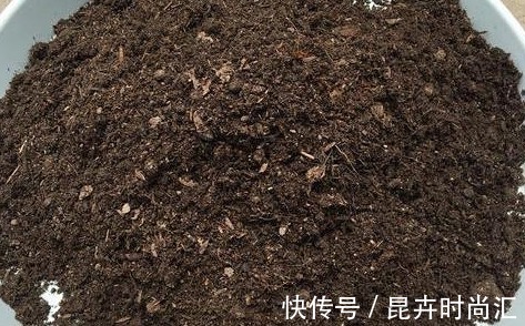 施肥|喜欢养花,先戒掉7个坏习惯,不然啥花也养不好,你占了几个?