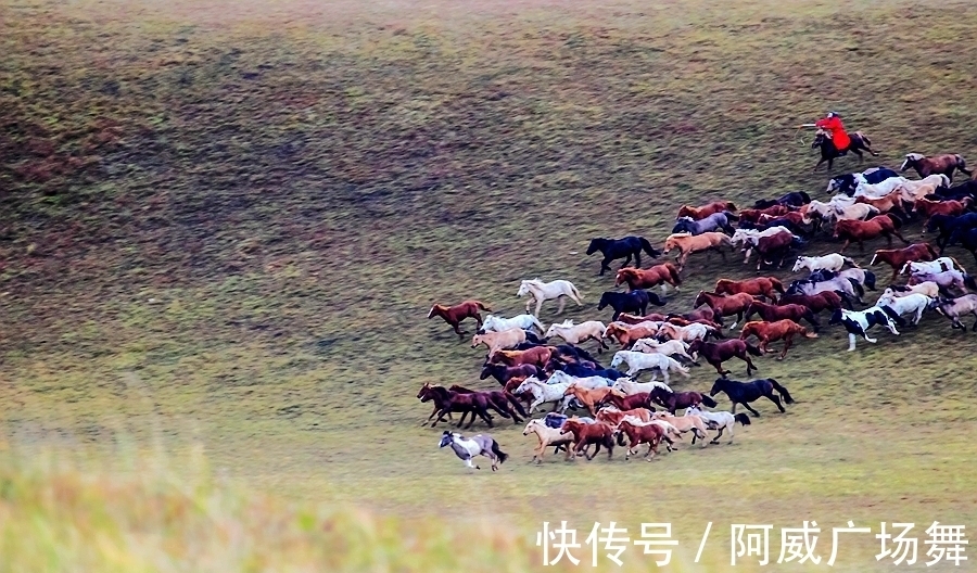 日落|中秋节在乌兰布统敖包吐后山，拍摄骆驼冲沙，遇见美丽的晚霞