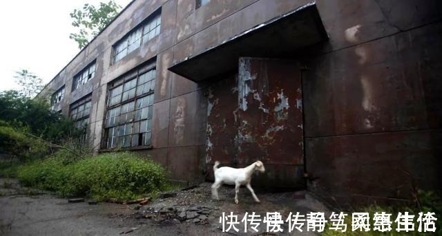 工厂|中国有一百年老厂,昔日为世界第三如今却倒闭,个中缘由令人唏嘘