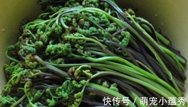 鸡枞菌|农村即将消失的4大美食,00后肯定没吃过,你呢?见过吗?