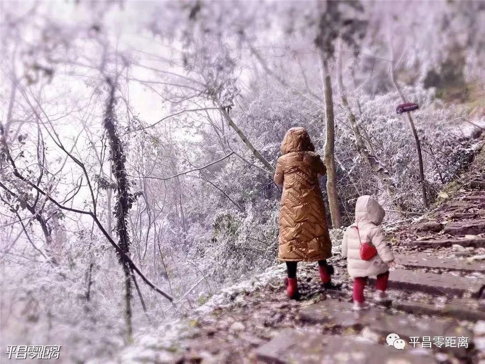 朋友圈|平昌下雪了，照片刷爆朋友圈！却带来了一个坏消息....