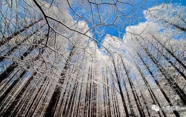 淹子岭的雪，太美了！