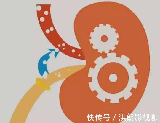 健脾|男人40后不持久不用愁,多吃这几种食物,帮你重振男人雄风