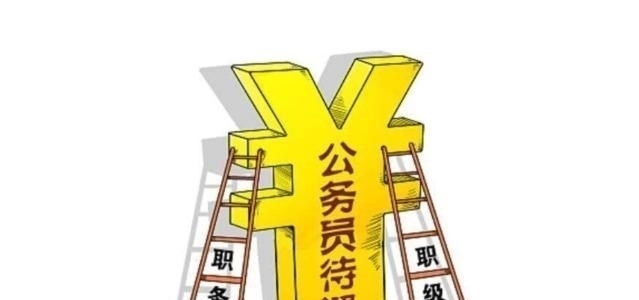 工资收入|公务员职级并行后,处长都想当一级调研员,原来晋级好处这么多