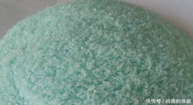 啤酒水浇花有技巧，里面加“4个小东西”，叶子油绿，花儿长疯了！