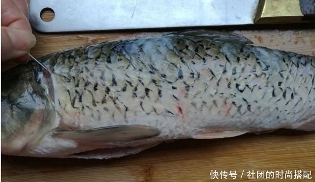 它是淡水鱼中的“极品”,四季都便宜,刺少肉嫩,孩子尤其要多吃