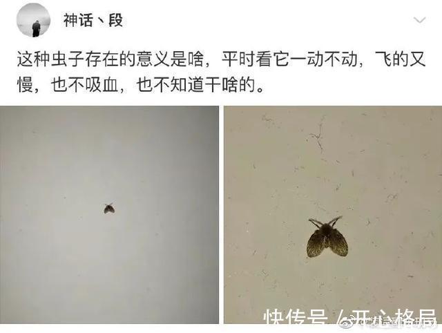 |我研究了近20年的泡妹教程  冷段子1404 & 去年今日1094