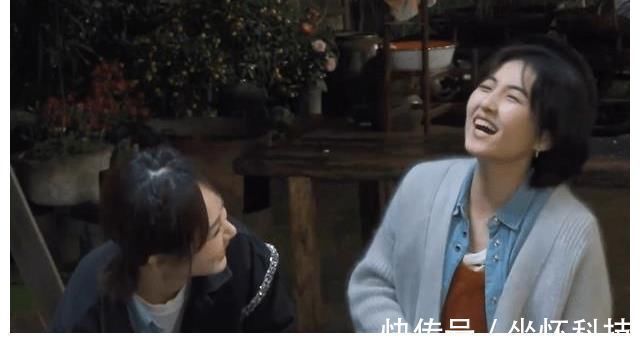 女生日记|《向往5》开播至今,两位最受欢迎的飞行嘉宾出炉,杨紫占据一席