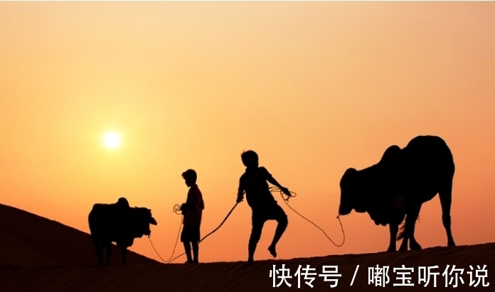 李杜!怎样才能写出好诗?读懂这一句诗,答案自然水落石出