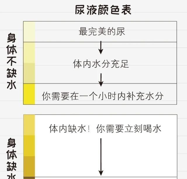 科学|“多喝热水”真管用？什么时候给孩子喝水，对照尿液颜色表更科学