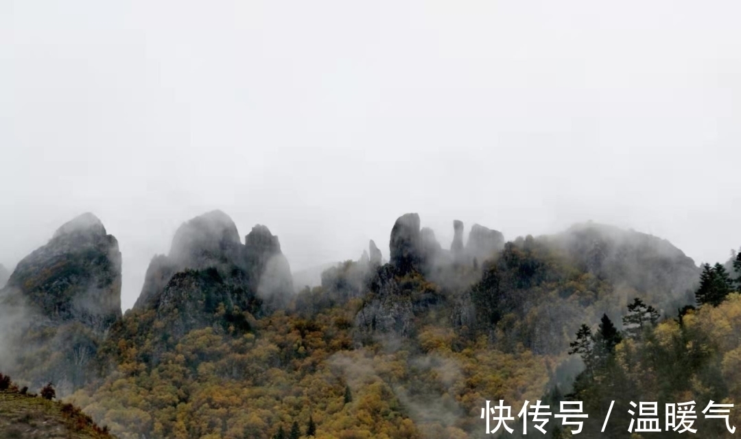 大峪沟|卓尼大峪沟，把整个秋天的颜色打个包