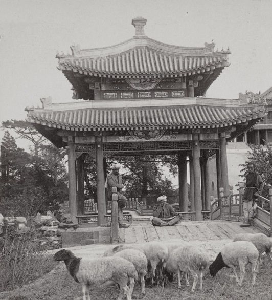 富家|一组清末老照片:小脚富家女着华丽汉服,新婚夫妻个个面如死灰