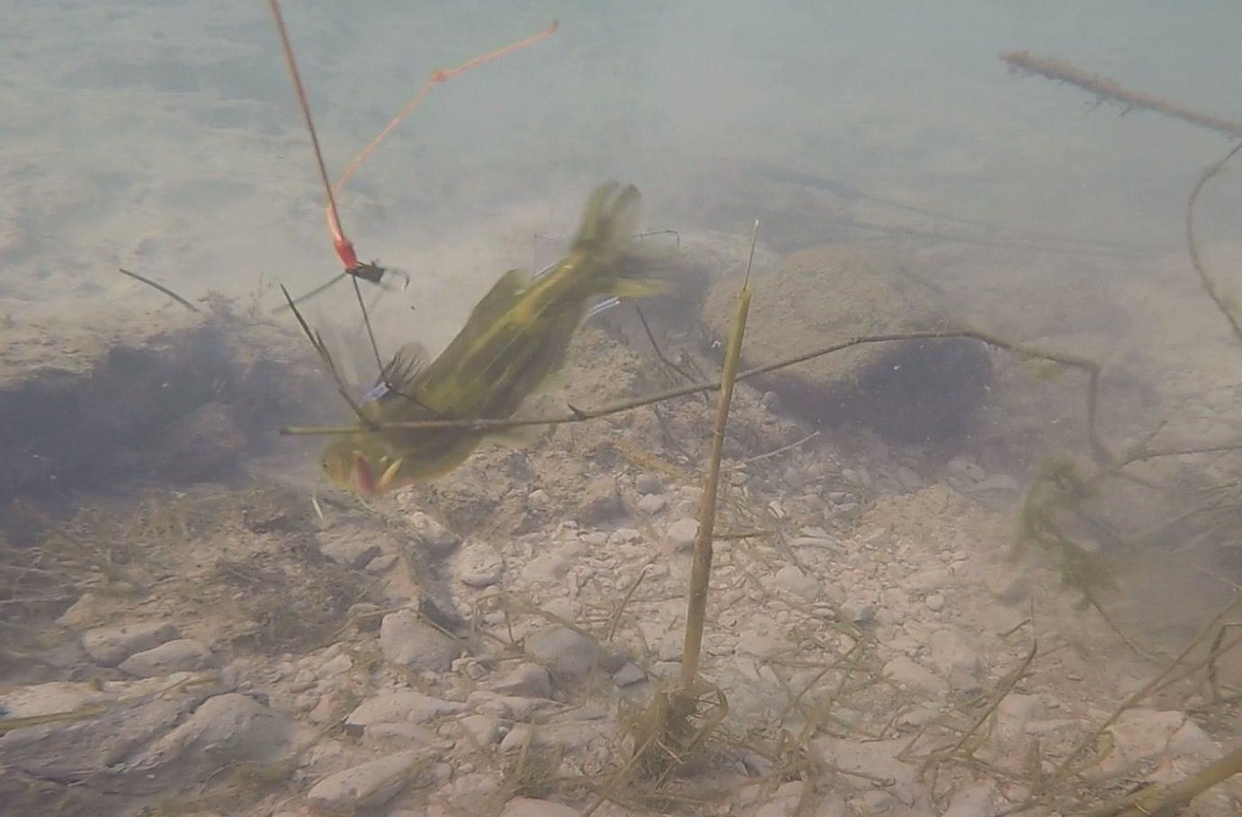 组装不同的铅坠,串钩也能玩出花来