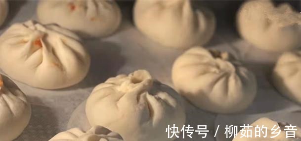黄磊教做肉包子视频火了,网友点赞感叹这肉包子做得太有特色了!