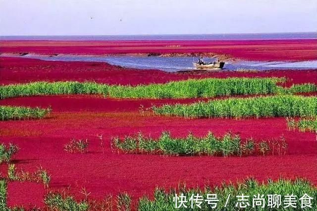 鸟类|中国最美六大沼泽湿地，养在深闺无人识，去过的都惊叹不已