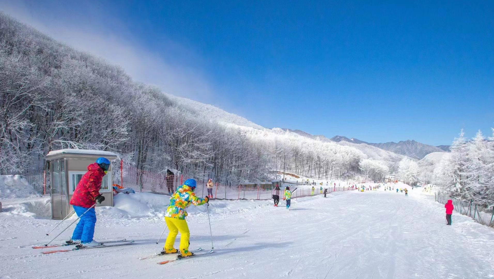 旅游|“冰雪游”成湖北春节假期旅游市场新增长点