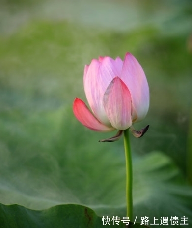 咸鱼翻身|10月中旬，喜鹊报喜，4属相桃花朵朵，顺风顺水，生活美满