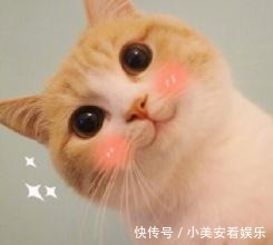 刘耀文|丁程鑫张真源“开”出了宋亚轩刘耀文