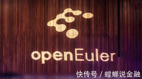 服务器|不符合这五条“金标准”的欧拉,不会是华为的备胎