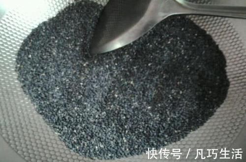 营养价值|黑芝麻、白芝麻哪种营养价值最高？吃芝麻有哪些好处？明确告诉你