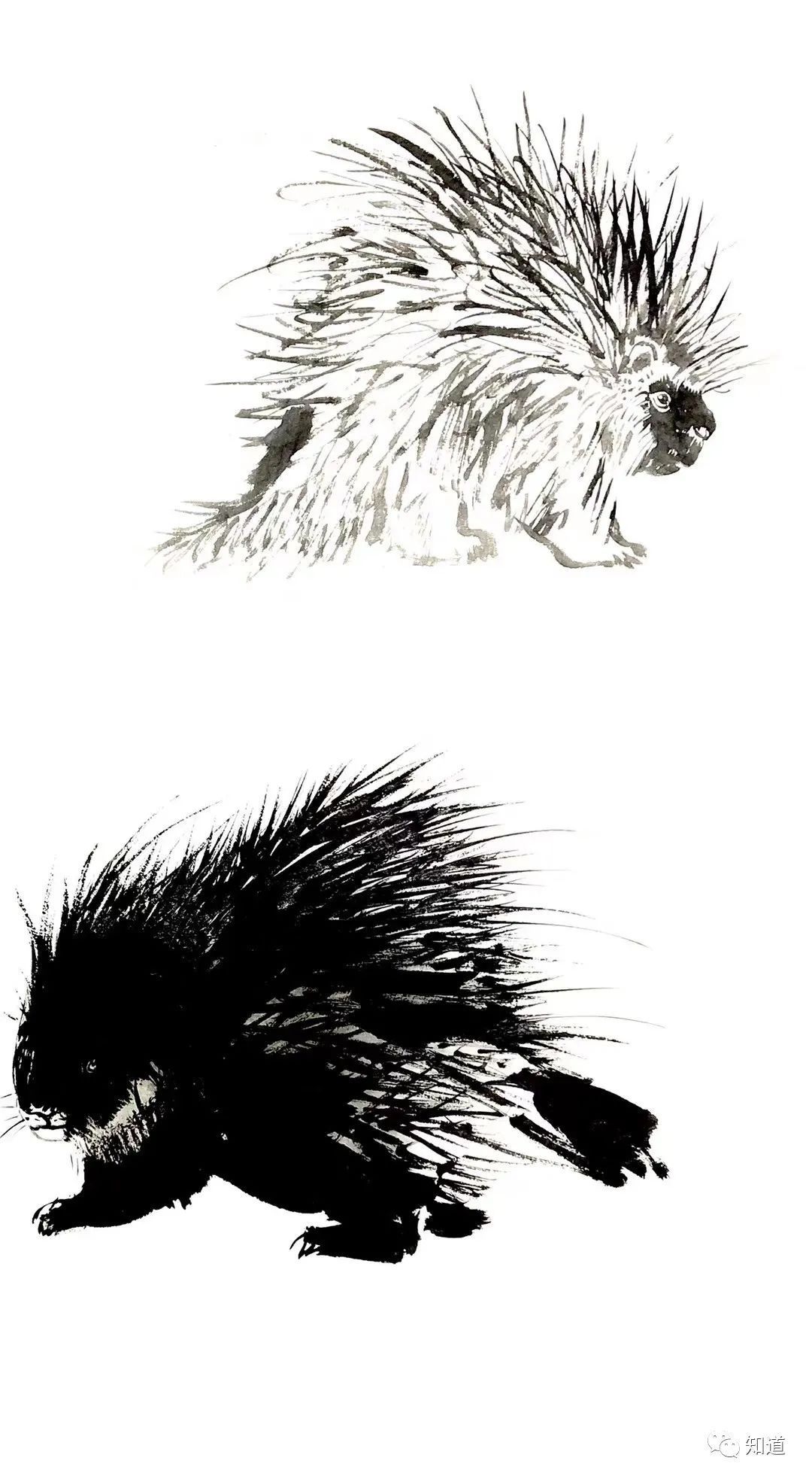 微信朋友圈|一位画家辛丑年的微信朋友圈（3）