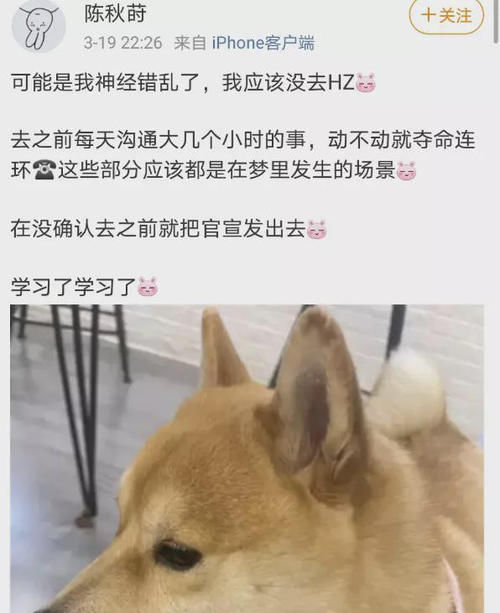 同一男团被两大综艺差别对待：王牌强捧删减嘉宾镜头，快本踩高捧低太敷衍！