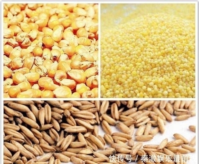 麦粒|如果你想钓鱼,不要依赖商业鱼饵,你必须依赖它们